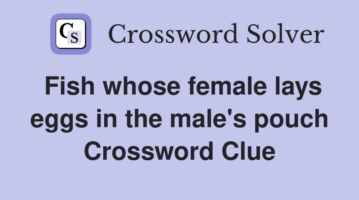 Fish whose female lays eggs in the male's pouch - Crossword Clue